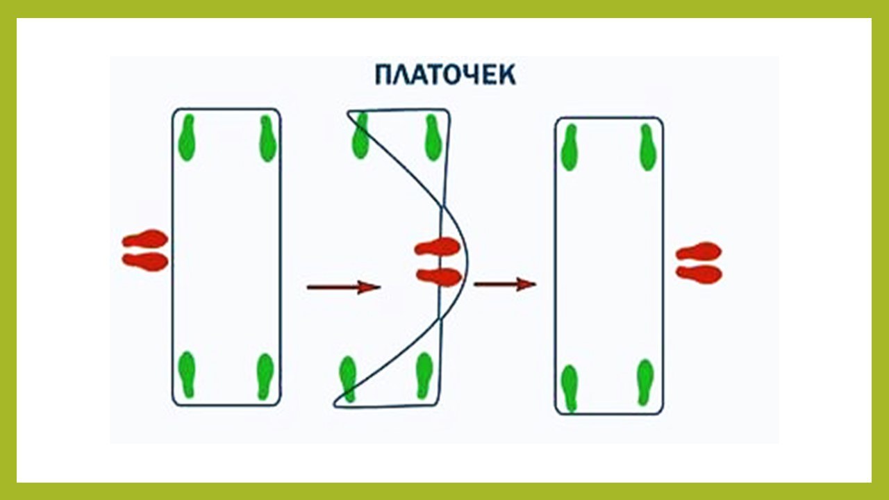  мышки1