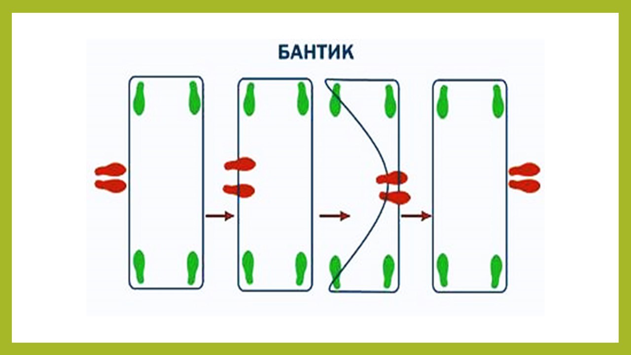  мышки1