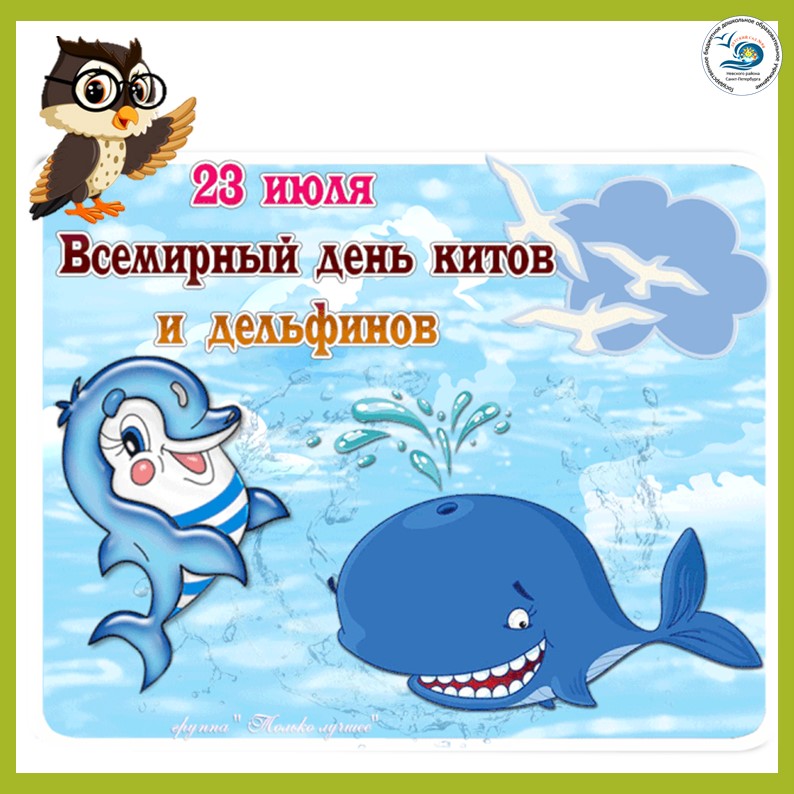 1 дельфины