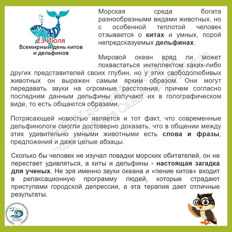 3 дельфины