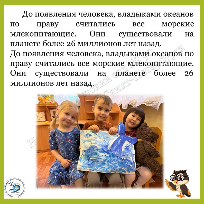 5 дельфины